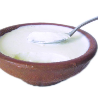 Fresh yogurt - Dahi 500 Gram