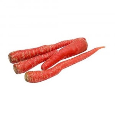 Carrot - گاجر