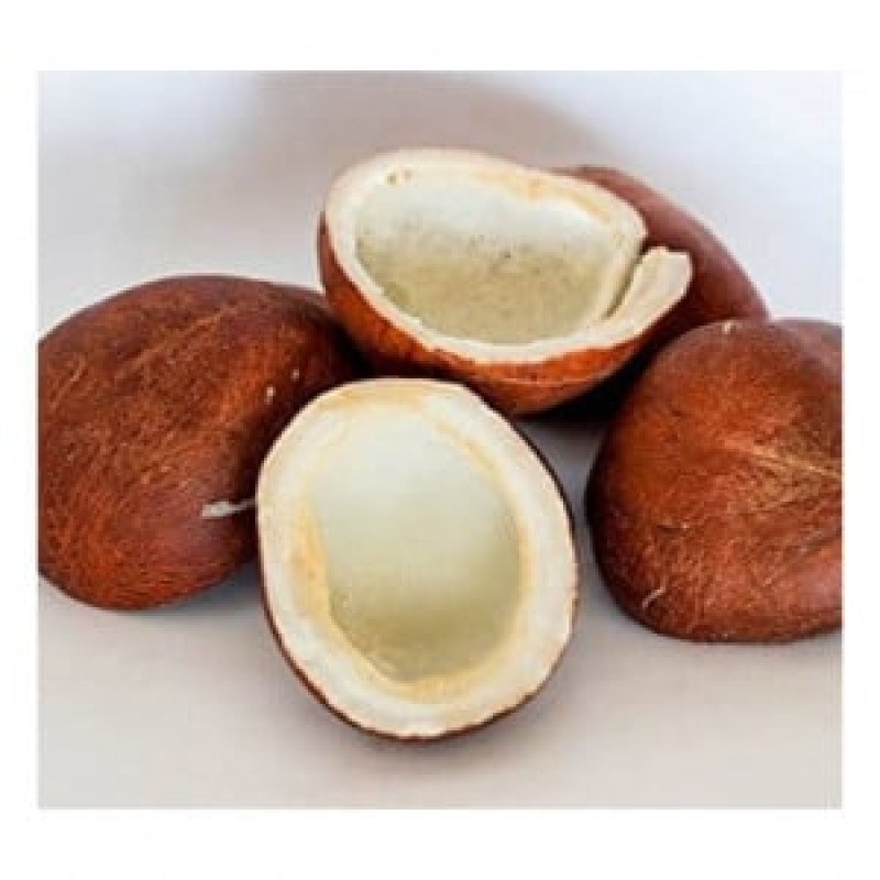 Coconut (Khoopa)