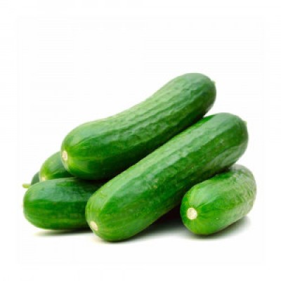Cucumber - کھیرا