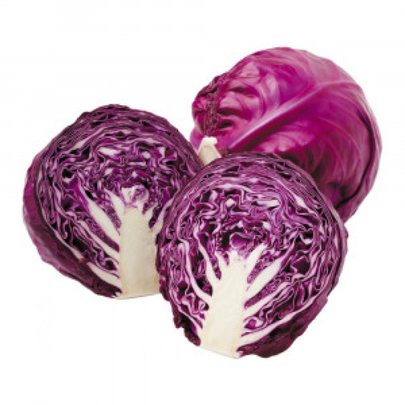 Purple Cabbage - لال گوبّی